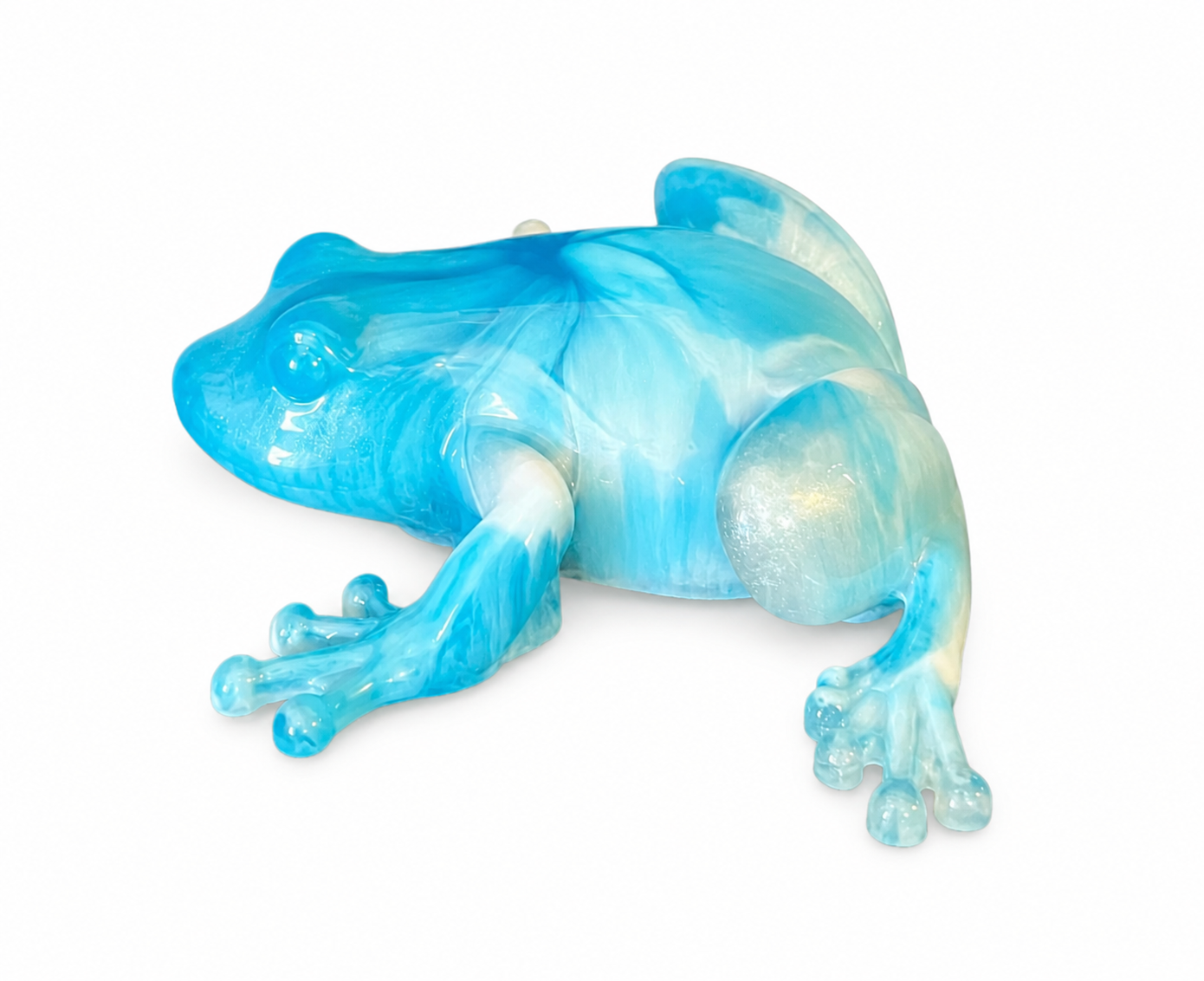 Caribbean Waters Frog