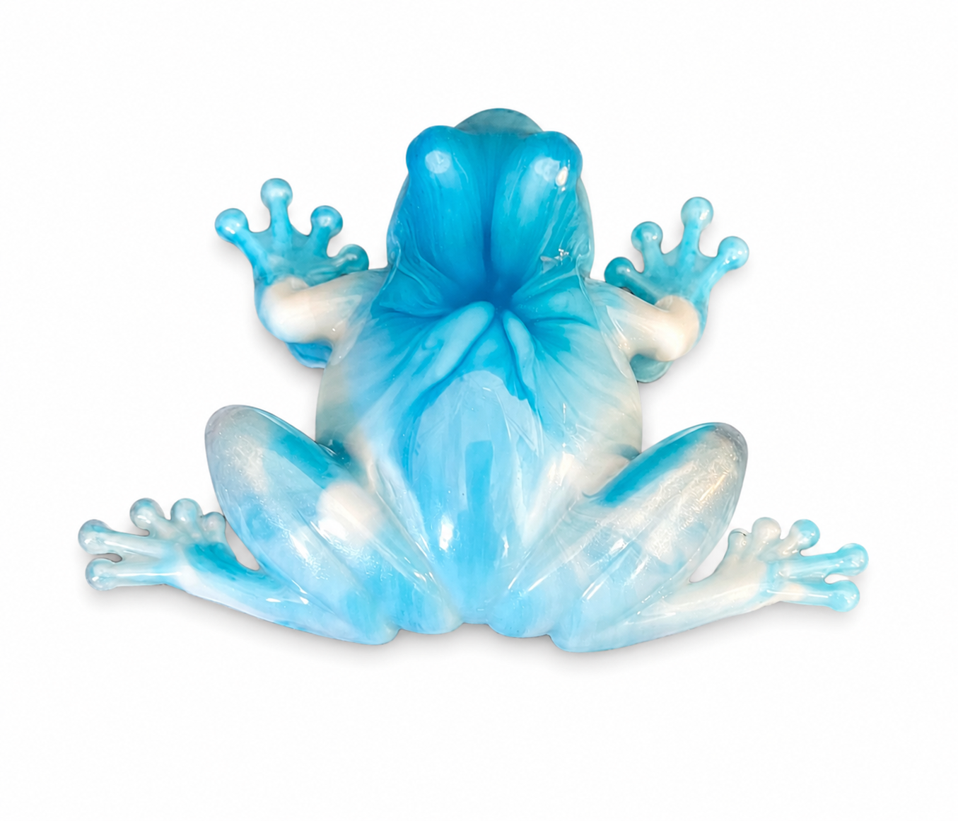 Caribbean Waters Frog